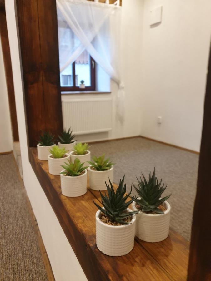 U Mikesu Apartment Vyšší Brod Екстериор снимка
